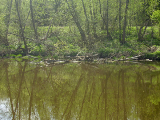 436574 (a): :2560x1920